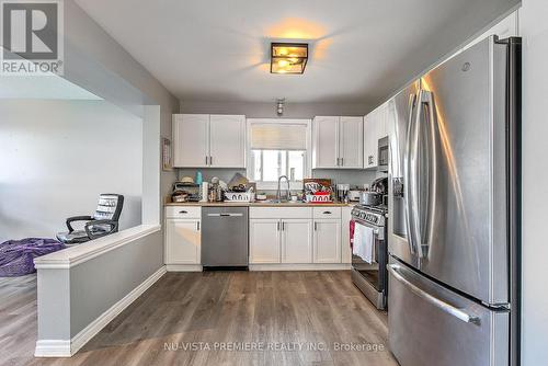 1238 Darnley Boulevard, London, ON - Indoor Photo Showing Kitchen With Double Sink