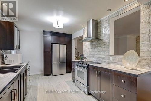 11 Mcalpine Avenue, London, ON - Indoor Photo Showing Kitchen With Double Sink