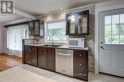 11 Mcalpine Avenue, London, ON - Indoor Photo Showing Kitchen With Double Sink