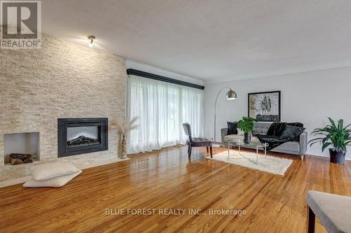 11 Mcalpine Avenue, London, ON - Indoor Photo Showing Living Room With Fireplace