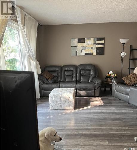 471 Froom Crescent, Regina, SK - Indoor Photo Showing Living Room