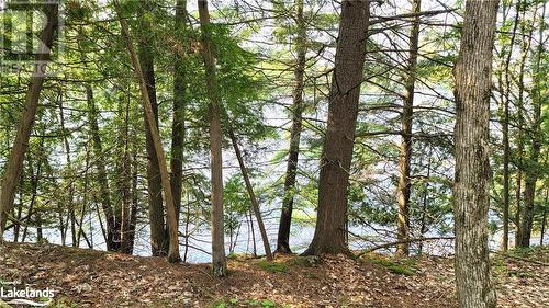 Lot2 Seguin River Estates Louisa Street, Parry Sound, ON 