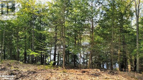 Lot2 Seguin River Estates Louisa Street, Parry Sound, ON 