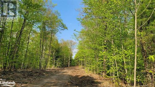 Lot2 Seguin River Estates Louisa Street, Parry Sound, ON 