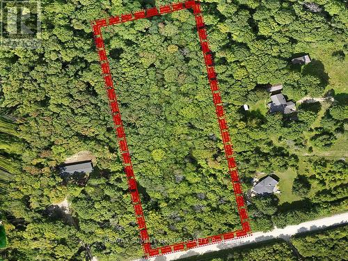 Lot 6 10Th Concession, Grey Highlands, ON 