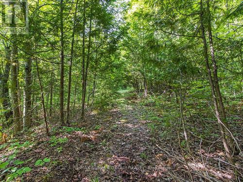 Lot 6 10Th Concession, Grey Highlands, ON 