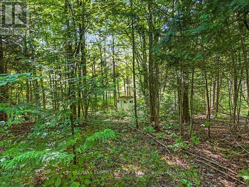 Lot 6 10Th Concession, Grey Highlands, ON 