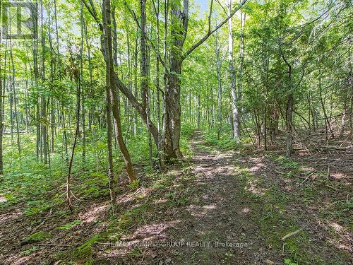 Lot 6 10Th Concession, Grey Highlands, ON 