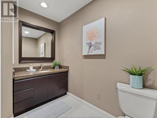 1339 County Rd 27, Lakeshore, ON - Indoor Photo Showing Bathroom