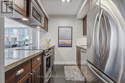 409 - 25 Maitland Street, Toronto (Church-Yonge Corridor), ON - Indoor Photo Showing Kitchen With Upgraded Kitchen