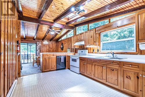 159 Mcguire Beach Road, Kawartha Lakes, ON - Indoor Photo Showing Kitchen With Double Sink