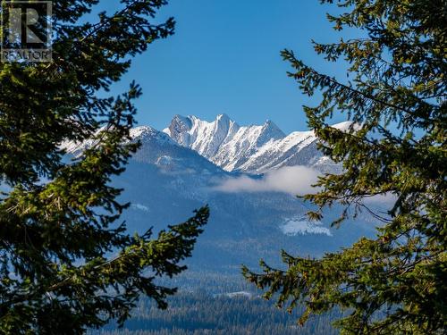 1403 Deer Ridge Road, Golden, BC - Outdoor With View