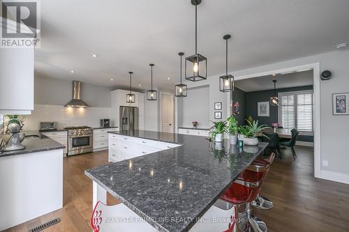 928 Zaifman Circle, London, ON - Indoor Photo Showing Kitchen With Upgraded Kitchen