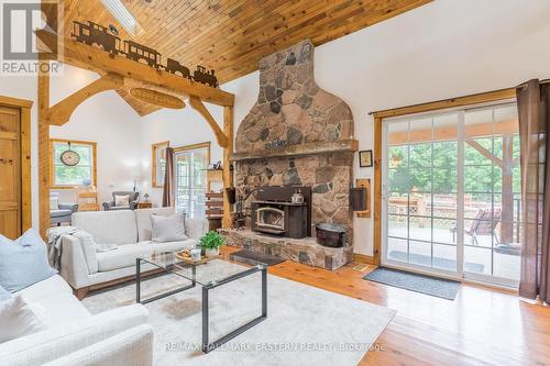 3404 Base Line, Otonabee-South Monaghan, ON - Indoor Photo Showing Living Room With Fireplace