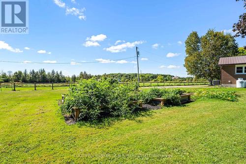 1076 Sandringham Road, Kawartha Lakes, ON - Outdoor With View