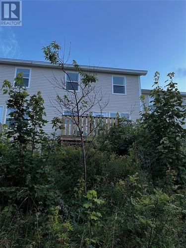 76 A Newtown Road, St John'S, NL - Outdoor