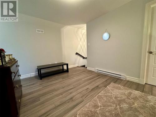 38 Paddy Kay Drive, Paradise, NL - Indoor Photo Showing Other Room