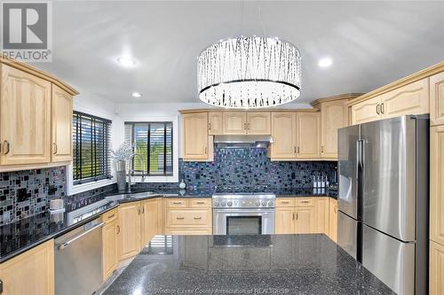 6060 Catherine Duransky Drive, Essex, ON - Indoor Photo Showing Kitchen With Upgraded Kitchen