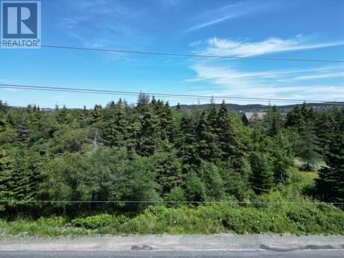 164 Pearltown Road, St. John'S, NL 