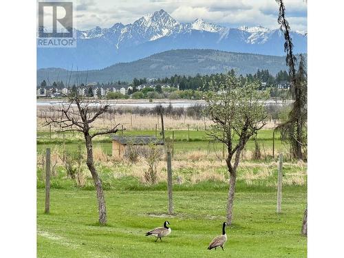 2000  3/95 Highway, Cranbrook, BC - Outdoor With View