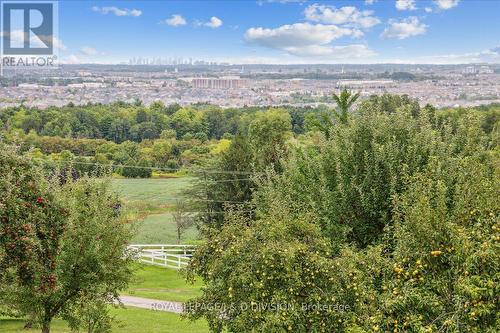 7286 Bell School Line, Milton, ON - Outdoor With View