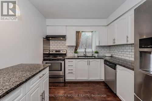 1733 Franklin Boulevard, Cambridge, ON - Indoor Photo Showing Kitchen With Stainless Steel Kitchen With Double Sink With Upgraded Kitchen