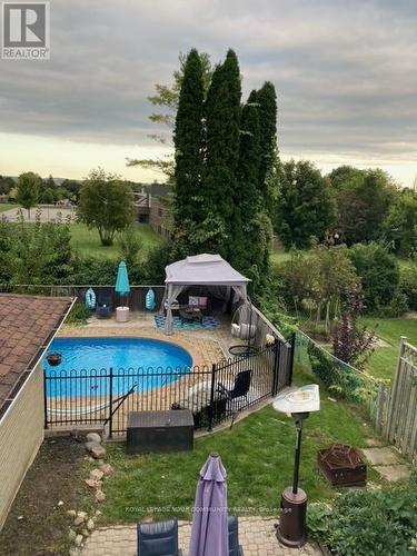 93 Hill Drive, Aurora, ON - Outdoor With In Ground Pool With Backyard