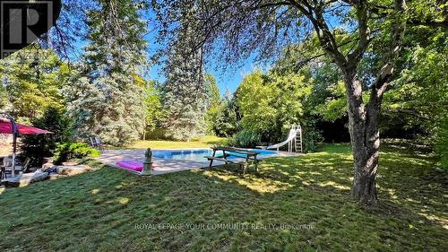 43 Denham Drive, Richmond Hill, ON - Outdoor With In Ground Pool