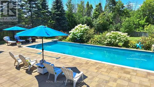 308 Metro Road N, Georgina, ON - Outdoor With In Ground Pool With Deck Patio Veranda With Backyard