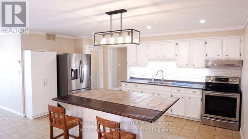 45 Elgin St S Street S, Halton Hills, ON - Indoor Photo Showing Kitchen With Double Sink