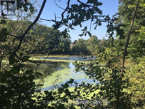 overlooking Mill Pond - 49 Byron Avenue, Thames Centre (Dorchester), ON - Outdoor With View