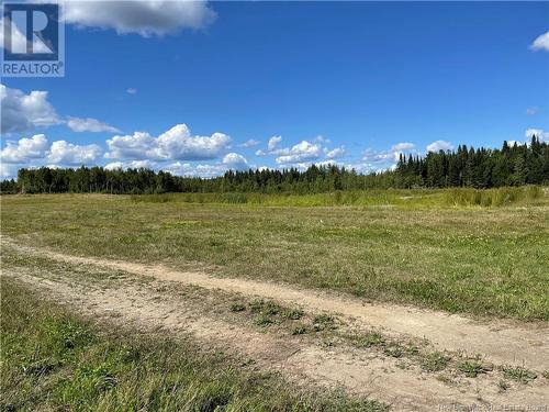 Lot Centreville Road, Florenceville-Bristol, NB 