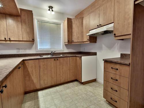 Cuisine - 101-7105 Ch. De Chambly, Longueuil (Saint-Hubert), QC - Indoor Photo Showing Kitchen With Double Sink