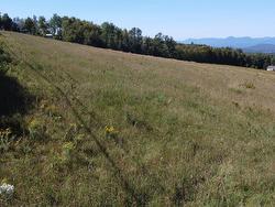 Land/Lot - 