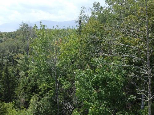 View - Route 138, La Malbaie, QC 