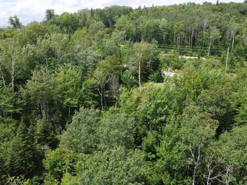 Vue d'ensemble - Route 138, La Malbaie, QC 