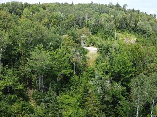 Vue d'ensemble - Route 138, La Malbaie, QC 