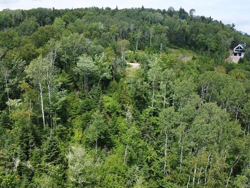 Vue d'ensemble - Route 138, La Malbaie, QC 