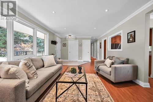 11 Douglas Road, Hamilton, ON - Indoor Photo Showing Living Room