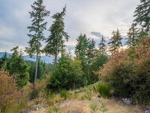 Lot 13 Teal Crt, Lake Cowichan, BC 