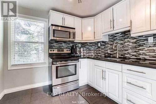 290 Pine Street, Milton (Old Milton), ON - Indoor Photo Showing Kitchen With Upgraded Kitchen