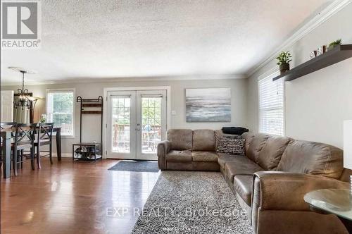 290 Pine Street, Milton (Old Milton), ON - Indoor Photo Showing Living Room