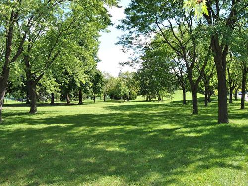 Wooded area - 8970 Rue Belcourt, Montréal (Saint-Léonard), QC - Outdoor With View