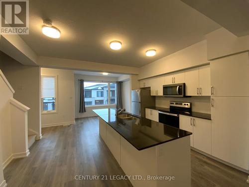 29 - 350 River Road, Cambridge, ON - Indoor Photo Showing Kitchen