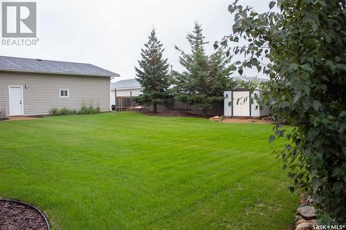 209 4Th Avenue S, St. Brieux, SK - Outdoor