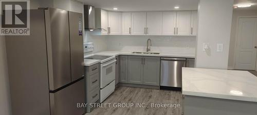 Bsmt - 799 Coldstream Drive, Oshawa, ON - Indoor Photo Showing Kitchen With Double Sink