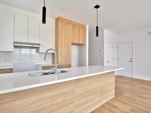 Cuisine - 1-4520 Rue Du Vert, Saint-Hyacinthe, QC - Indoor Photo Showing Kitchen With Double Sink