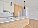 Cuisine - 1-4520 Rue Du Vert, Saint-Hyacinthe, QC  - Indoor Photo Showing Kitchen With Double Sink 