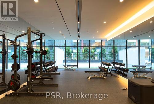 412 - 576 Front Street W, Toronto (Waterfront Communities), ON - Indoor Photo Showing Gym Room