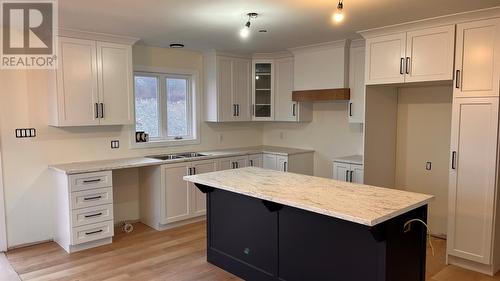 0 Scott Drive, Bay Bulls, NL - Indoor Photo Showing Kitchen With Double Sink